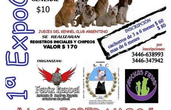 Imagen destacada del artículo «Exposición en Gualeguaychú,»